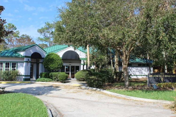 Animal Medical Clinic at Sawgrass Village, Florida, Ponte Vedra Beach